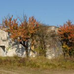 TÜPL-Landschaft im Herbst