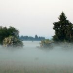 Landschaft Bodennebel