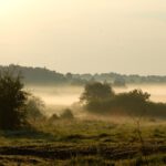 Landschaft Bodennebel
