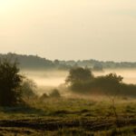 Landschaft Bodennebel