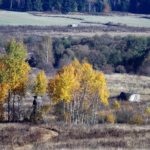 TÜPL-Landschaft im Spätherbst