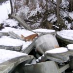 Österr. Rettungshundebrigade (ÖRHB) in Rette- und Berge-Ausbildungsanlage Steinbach